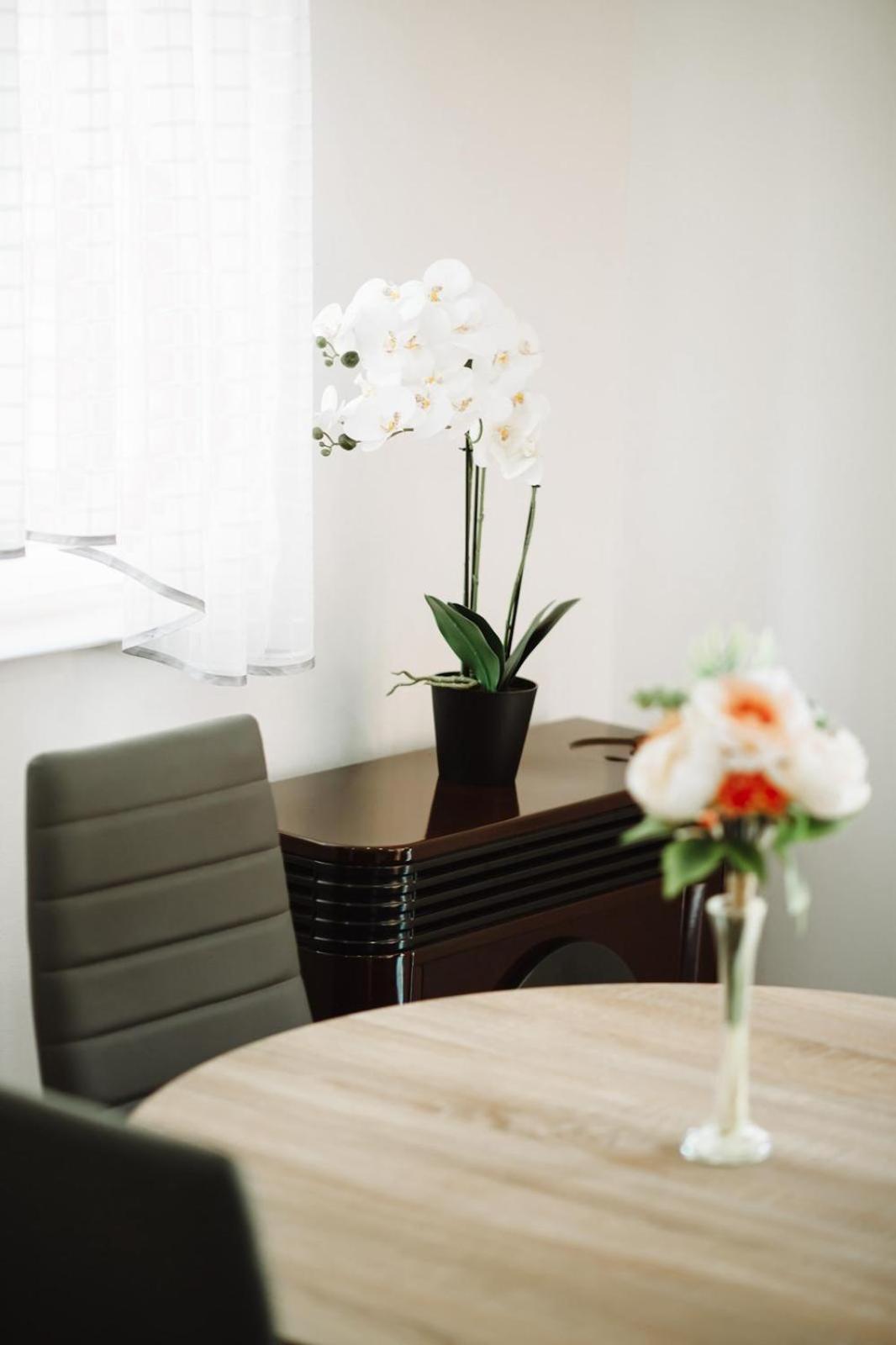 Apartman Sunny Hills Krapina Ngoại thất bức ảnh